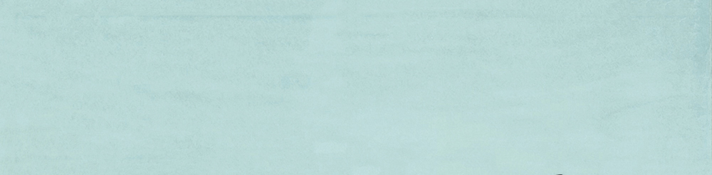 Morocco Mint 3x11 | Clon Digital Tile Catalog