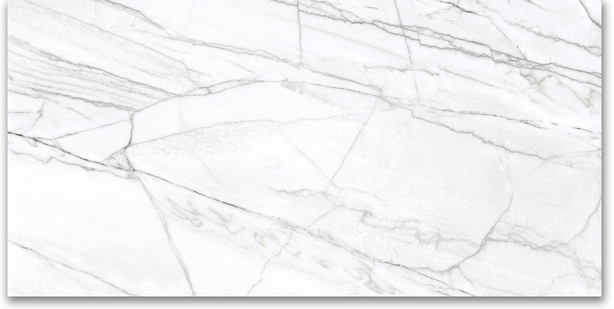 24X48 Matte Glamour White | Clon Digital Tile Catalog