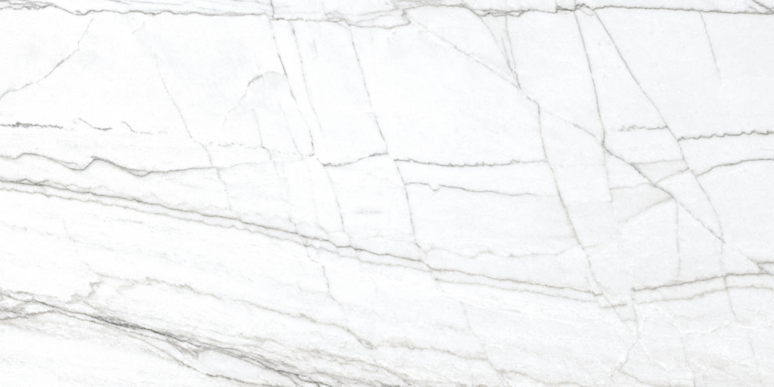 24X48 Matte Glamour White | Clon Digital Tile Catalog