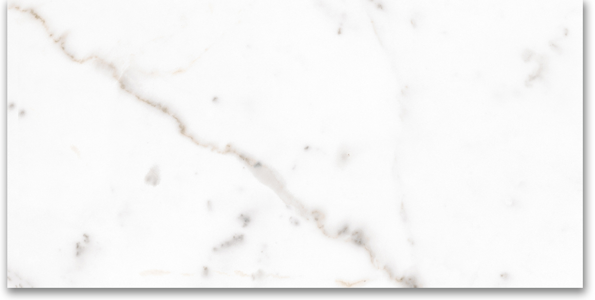 24X48 Polished Amore Grey | Clon Digital Tile Catalog