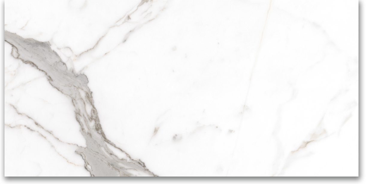 24X48 Polished Amore Grey | Clon Digital Tile Catalog