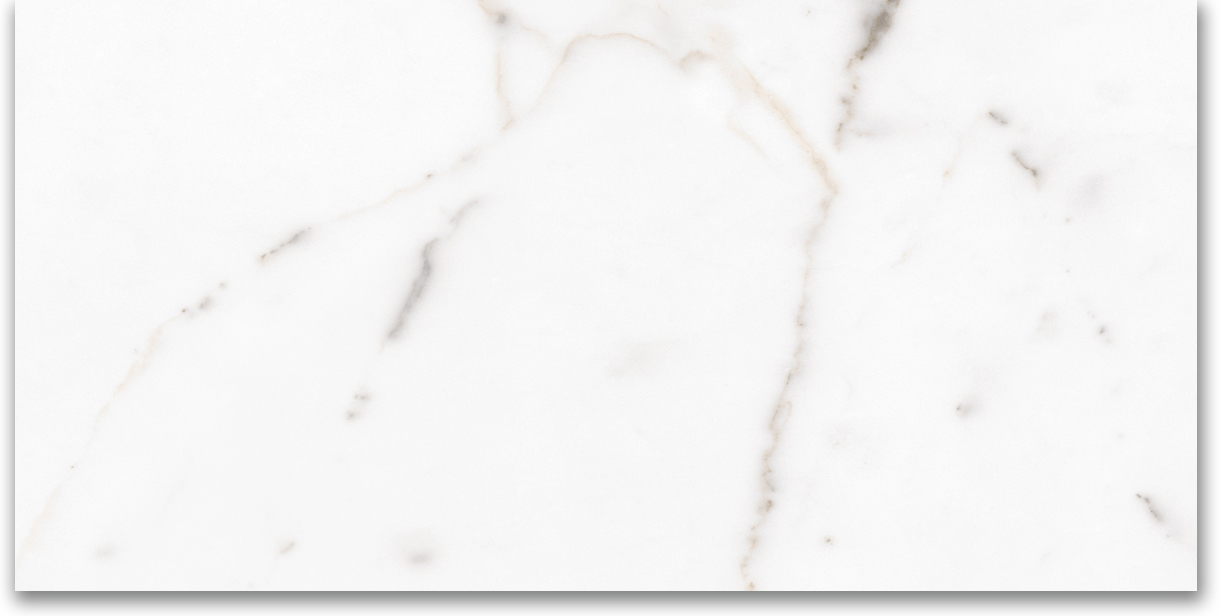 24X48 Polished Amore Grey | Clon Digital Tile Catalog