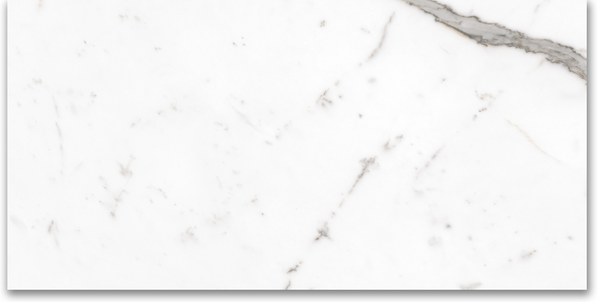 24X48 Polished Amore Grey | Clon Digital Tile Catalog