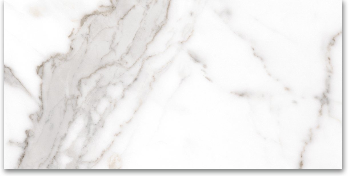 24X48 Polished Amore Grey | Clon Digital Tile Catalog