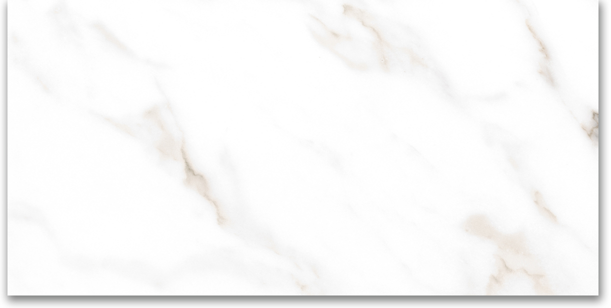 24X48 Polished Amore Grey | Clon Digital Tile Catalog