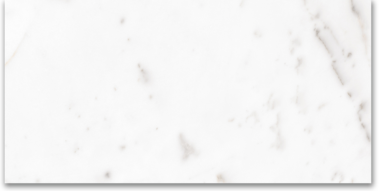 24X48 Polished Amore Grey | Clon Digital Tile Catalog