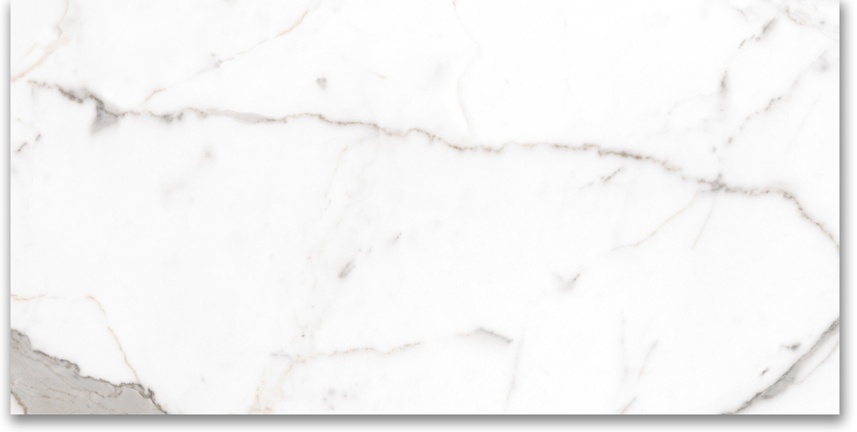 24X48 Polished Amore Grey | Clon Digital Tile Catalog