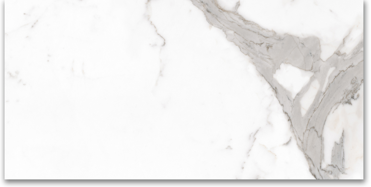 24X48 Polished Amore Grey | Clon Digital Tile Catalog