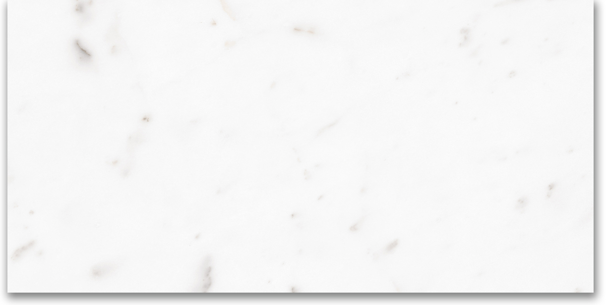 24X48 Polished Amore Grey | Clon Digital Tile Catalog