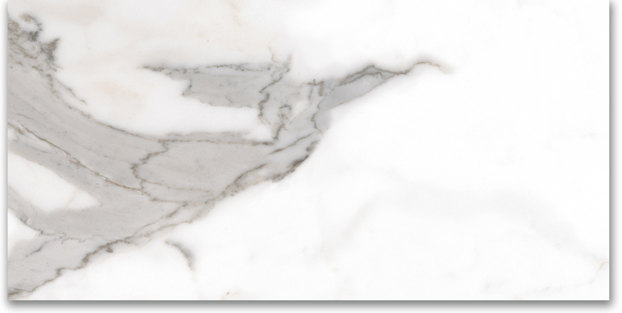 24X48 Polished Amore Grey | Clon Digital Tile Catalog