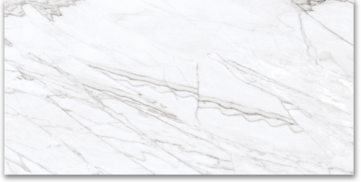 24X48 Polished Glamour White | Clon Digital Tile Catalog