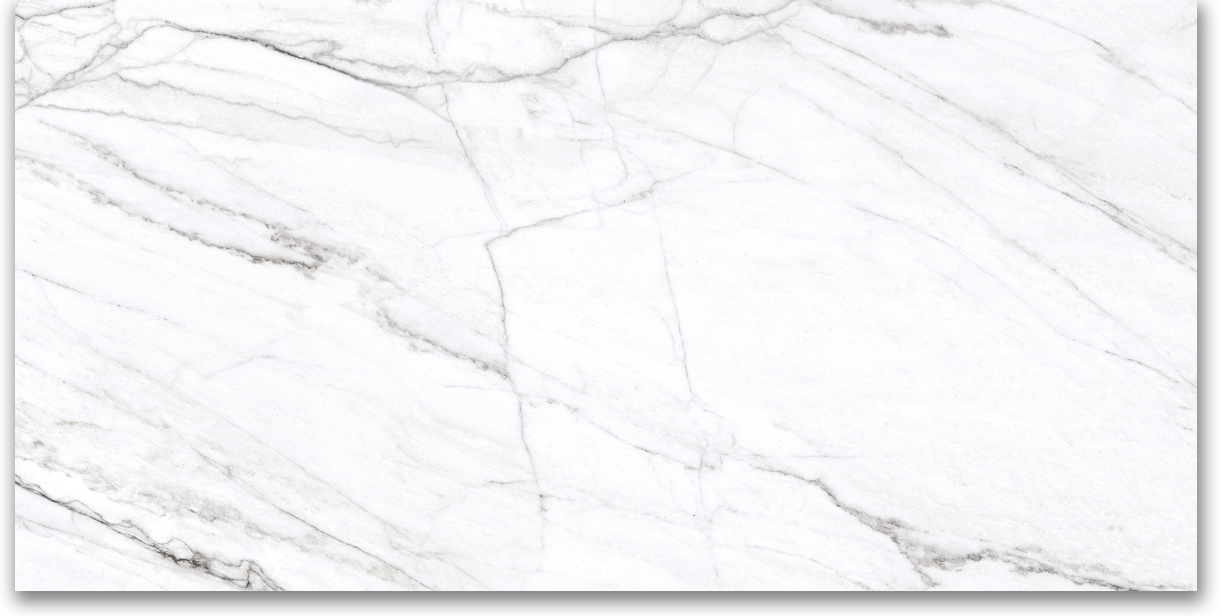 24X48 Polished Glamour White | Clon Digital Tile Catalog