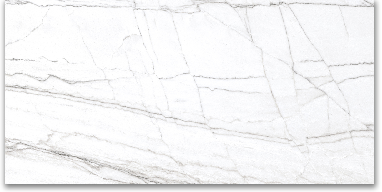 24X48 Polished Glamour White | Clon Digital Tile Catalog