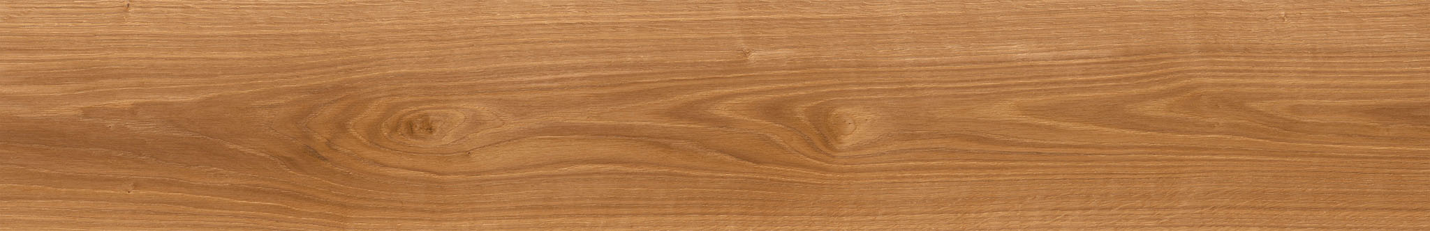 American Red Oak | Clon Digital Tile Catalog