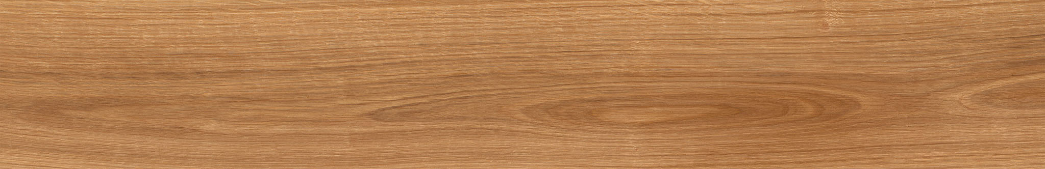 American Red Oak | Clon Digital Tile Catalog