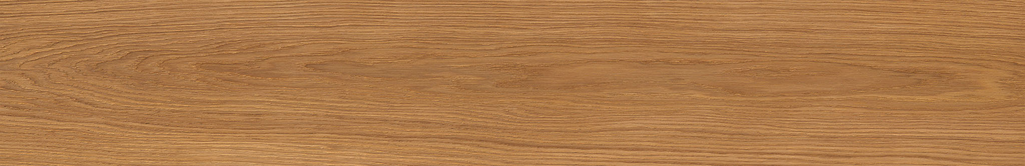 American Red Oak | Clon Digital Tile Catalog
