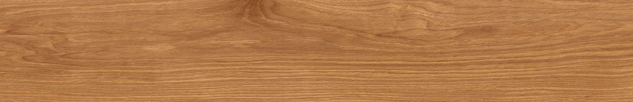 American Red Oak | Clon Digital Tile Catalog