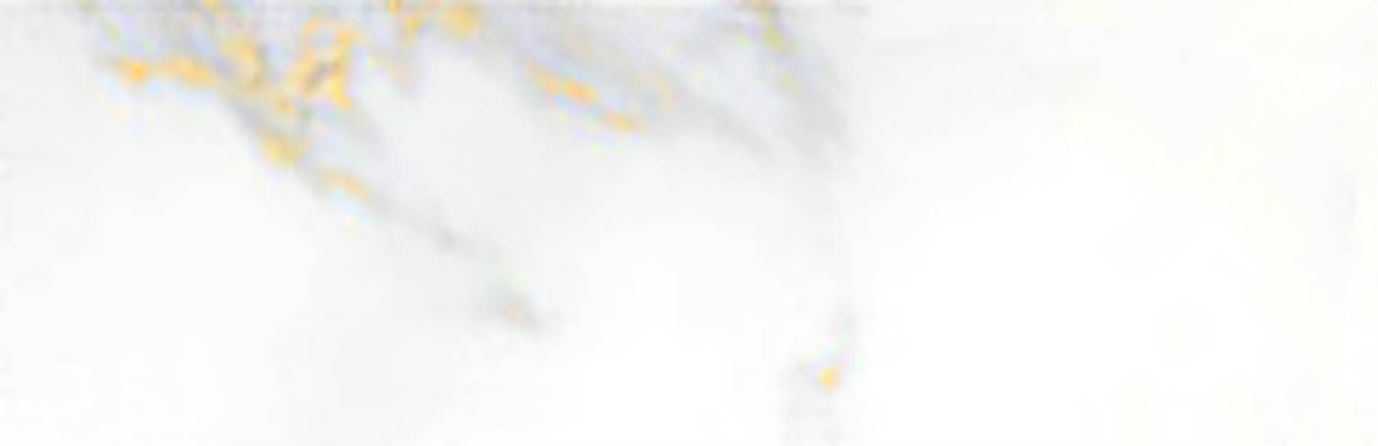 Calacatta 3x9" Calacatta | Clon Digital Tile Catalog