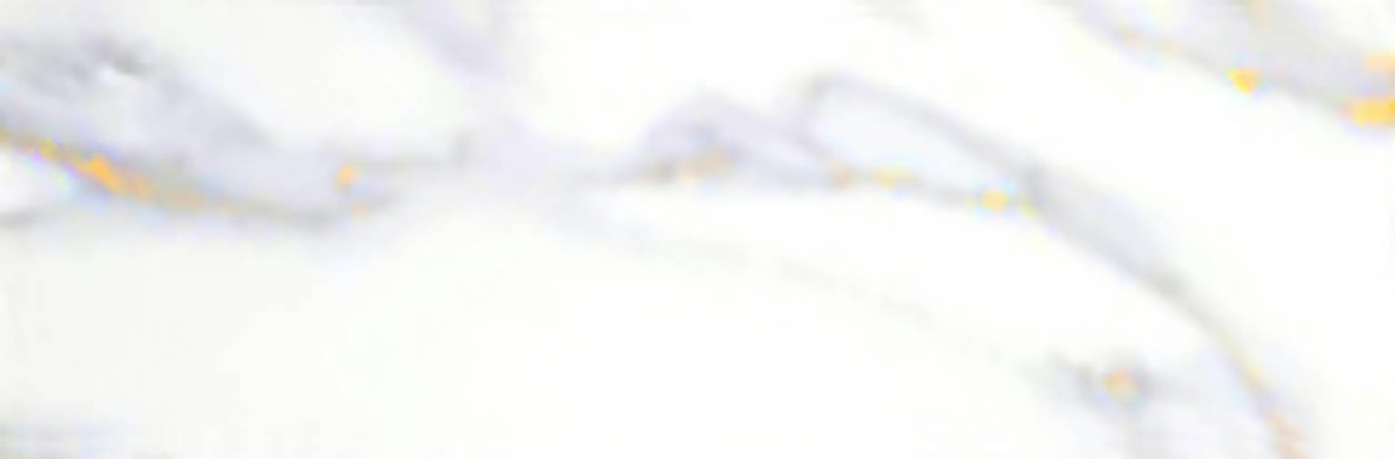 Calacatta 3x9" Calacatta | Clon Digital Tile Catalog