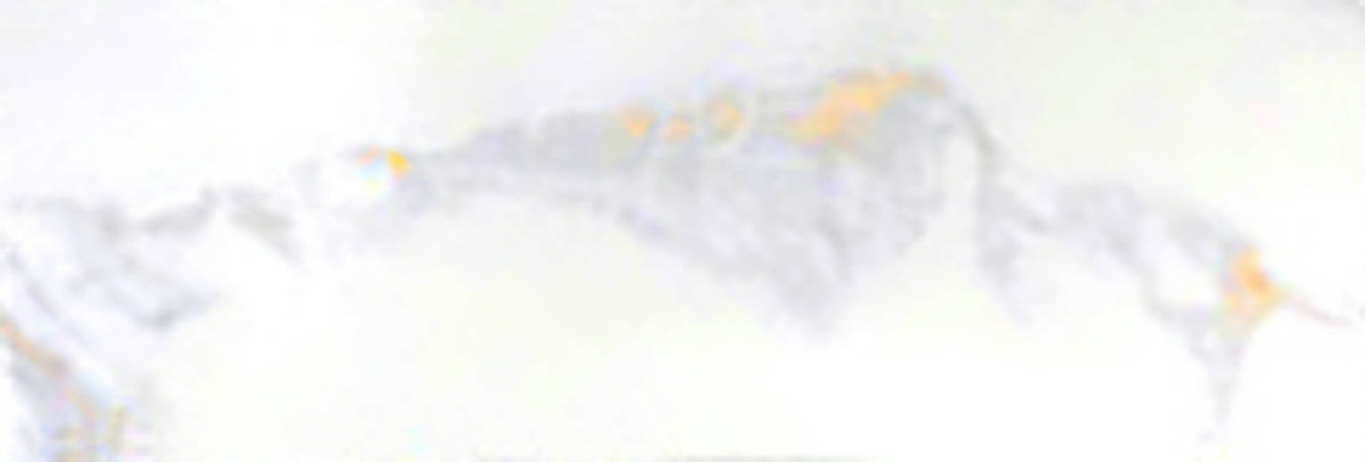 Calacatta 3x9" Calacatta | Clon Digital Tile Catalog