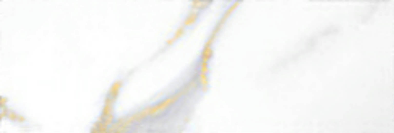 Calacatta 3x9" Calacatta | Clon Digital Tile Catalog