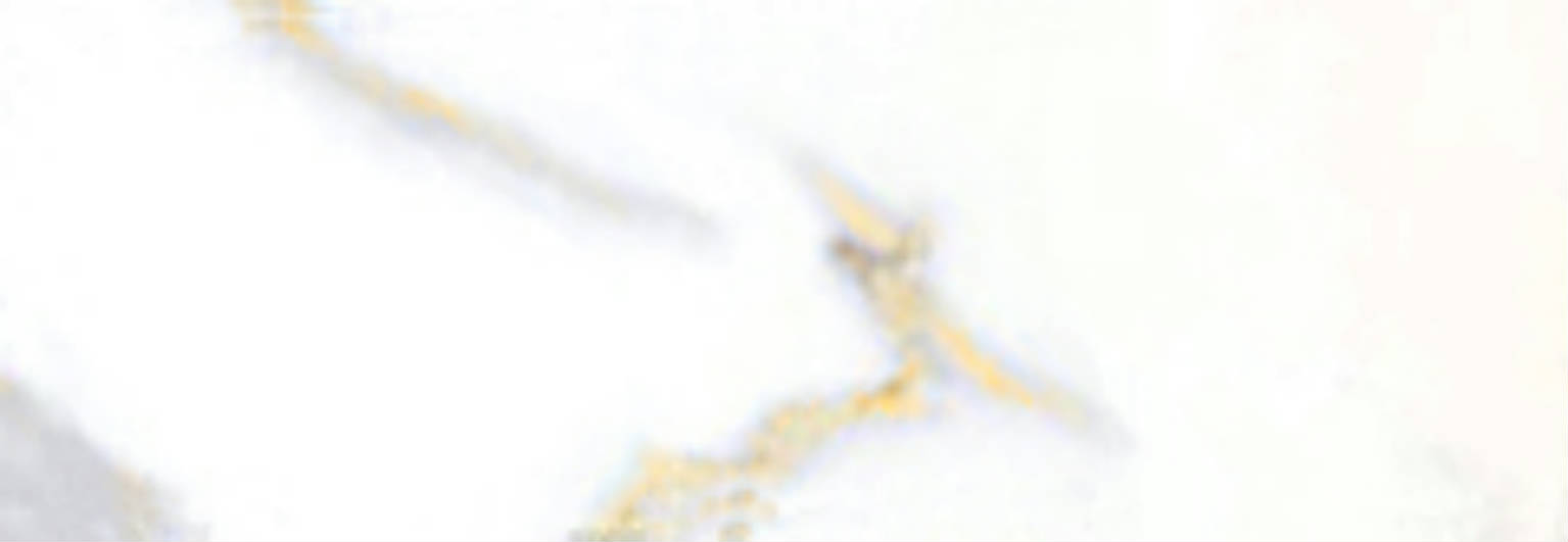 Calacatta 3x9" Calacatta | Clon Digital Tile Catalog