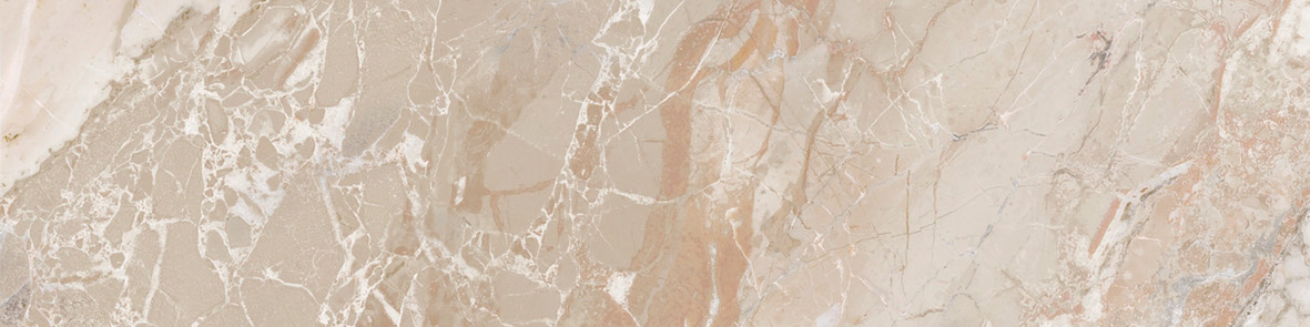 Dynasty Almond 3X12 Bullnose | Clon Digital Tile Catalog