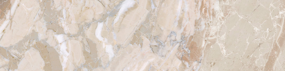 Dynasty Almond 3X12 Bullnose | Clon Digital Tile Catalog