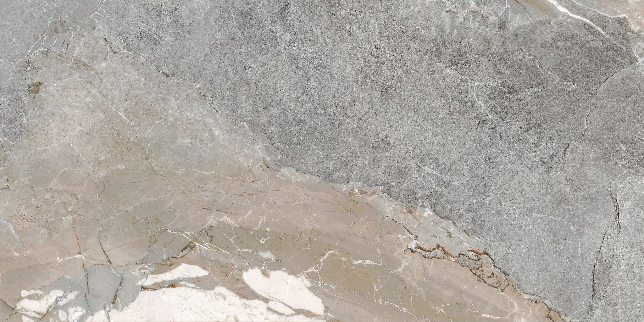 Dynasty Grey 12X24 | Clon Digital Tile Catalog