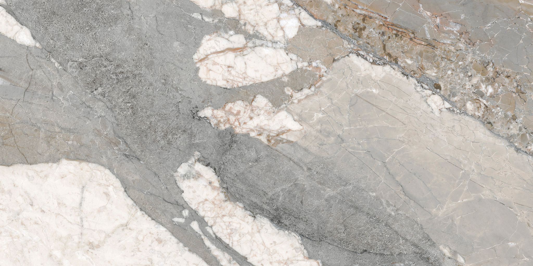 Dynasty Grey 12X24 | Clon Digital Tile Catalog