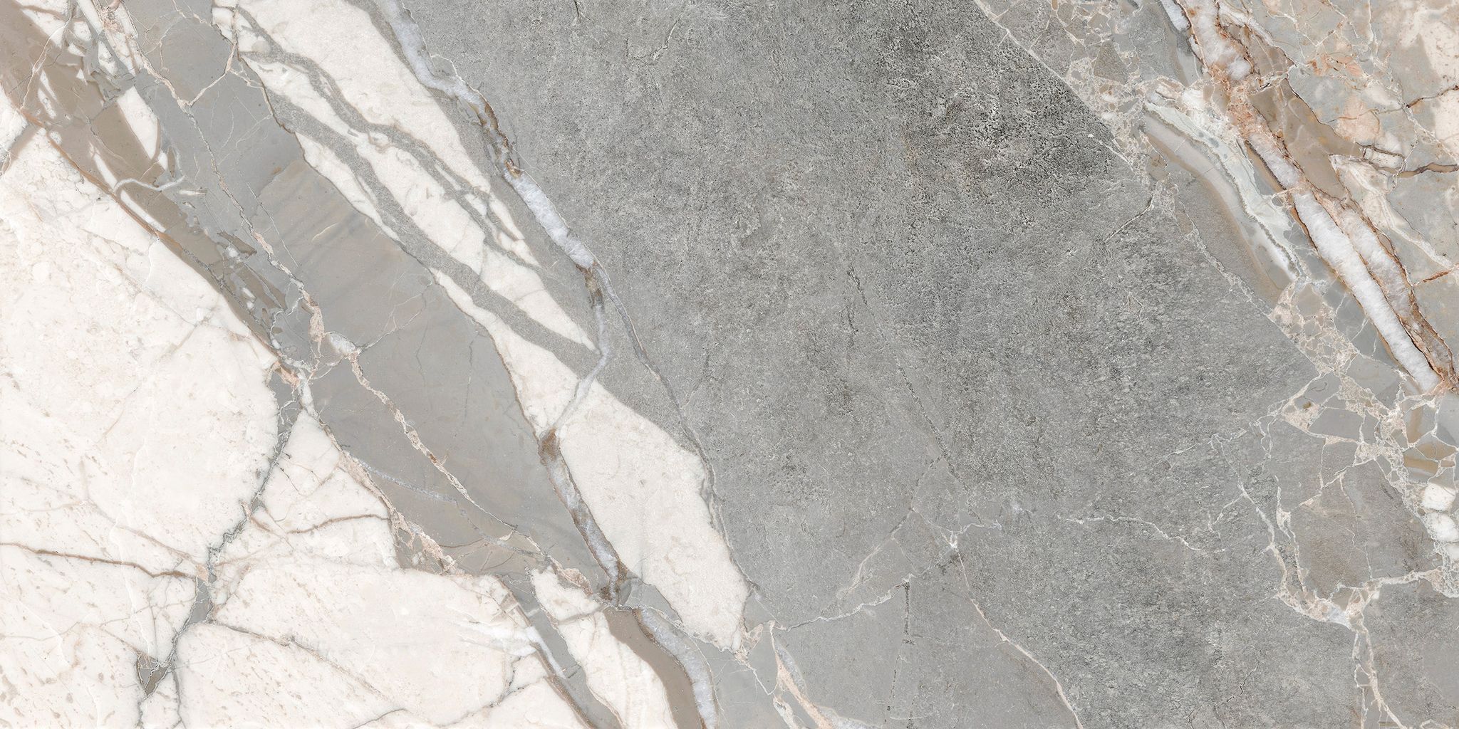 Dynasty Grey 12X24 | Clon Digital Tile Catalog