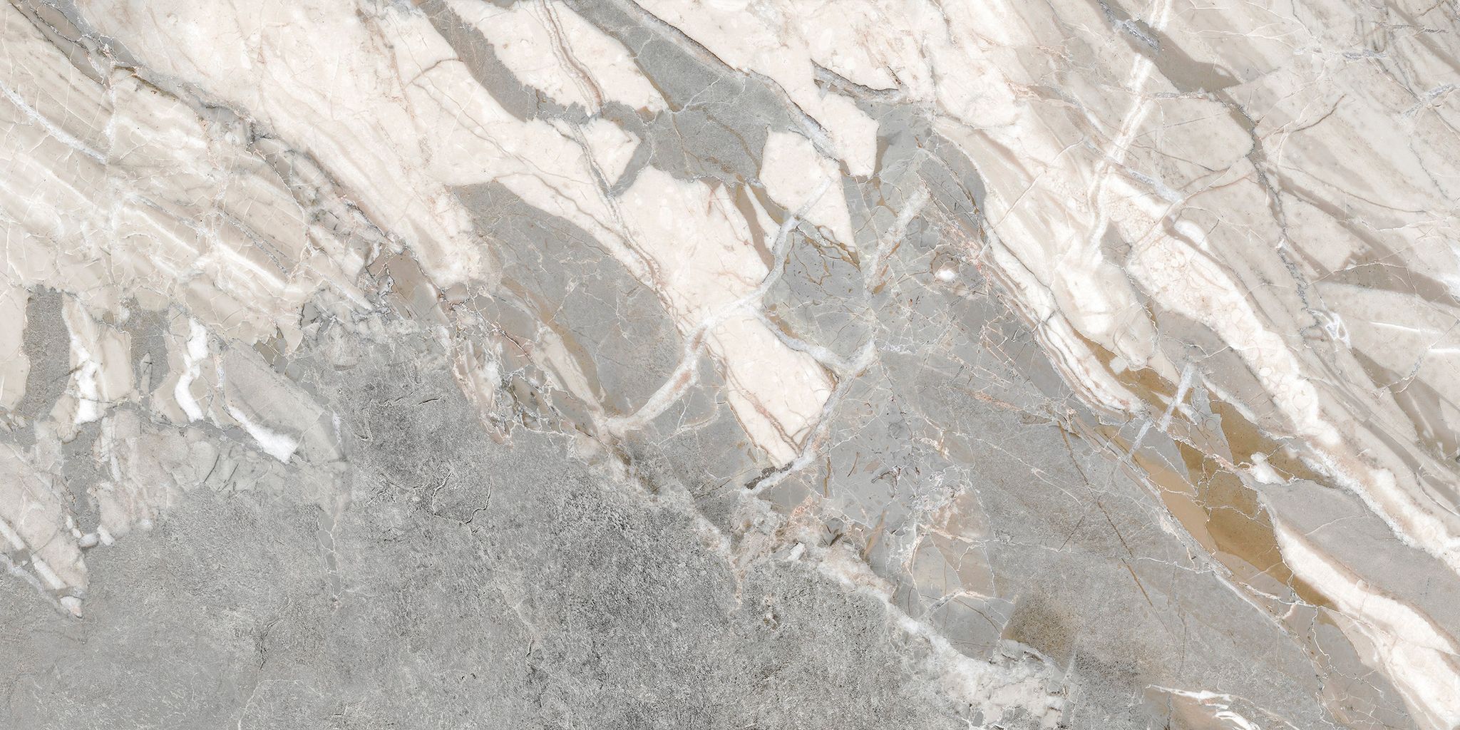 Dynasty Grey 12X24 | Clon Digital Tile Catalog