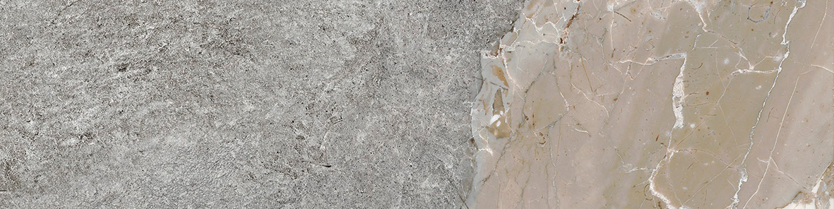 Dynasty Grey 3X12 Bullnose | Clon Digital Tile Catalog