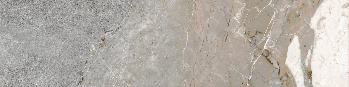 Dynasty Grey 3X12 Bullnose | Clon Digital Tile Catalog