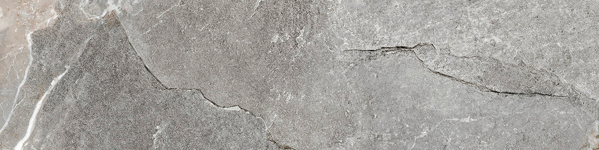 Dynasty Grey 3X12 Bullnose | Clon Digital Tile Catalog