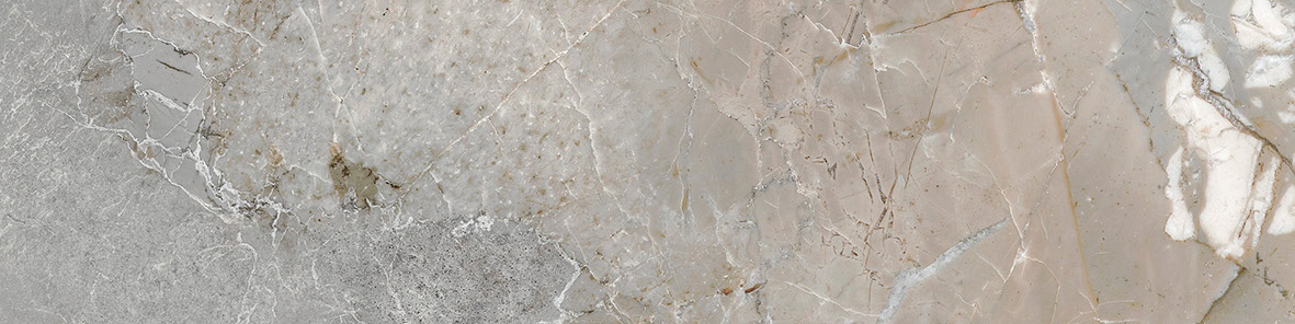 Dynasty Grey 3X12 Bullnose | Clon Digital Tile Catalog