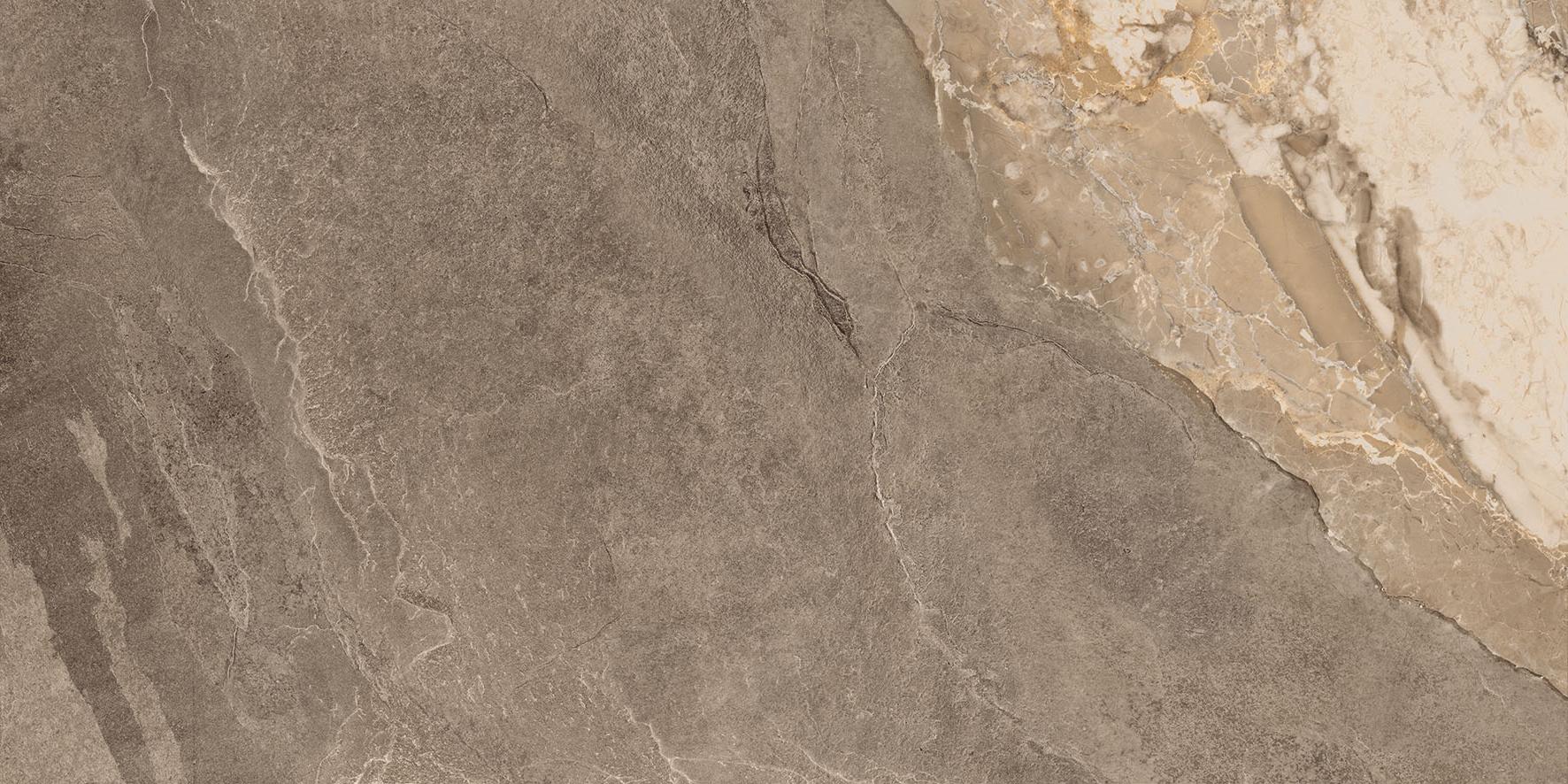 Dynasty Taupe 12X24 | Clon Digital Tile Catalog