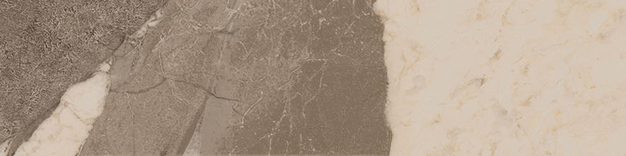 Dynasty Taupe 3X12 Bullnose | Clon Digital Tile Catalog