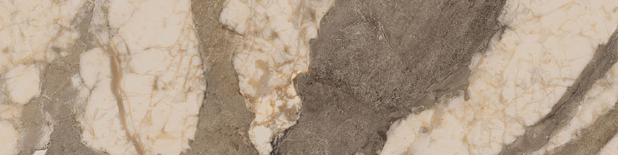 Dynasty Taupe 3X12 Bullnose | Clon Digital Tile Catalog