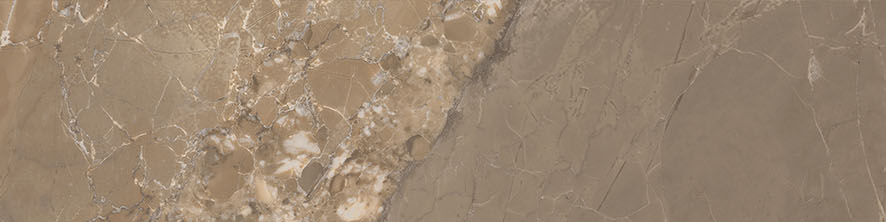 Dynasty Taupe 3X12 Bullnose | Clon Digital Tile Catalog