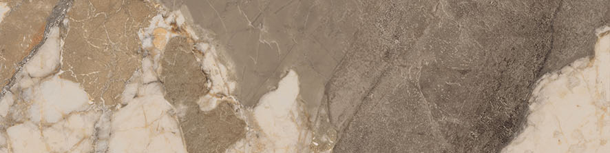 Dynasty Taupe 3X12 Bullnose | Clon Digital Tile Catalog