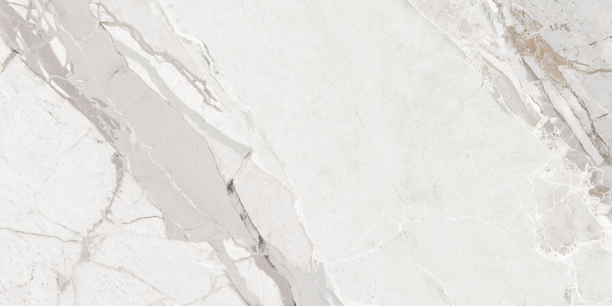 Dynasty White 12X24 | Clon Digital Tile Catalog