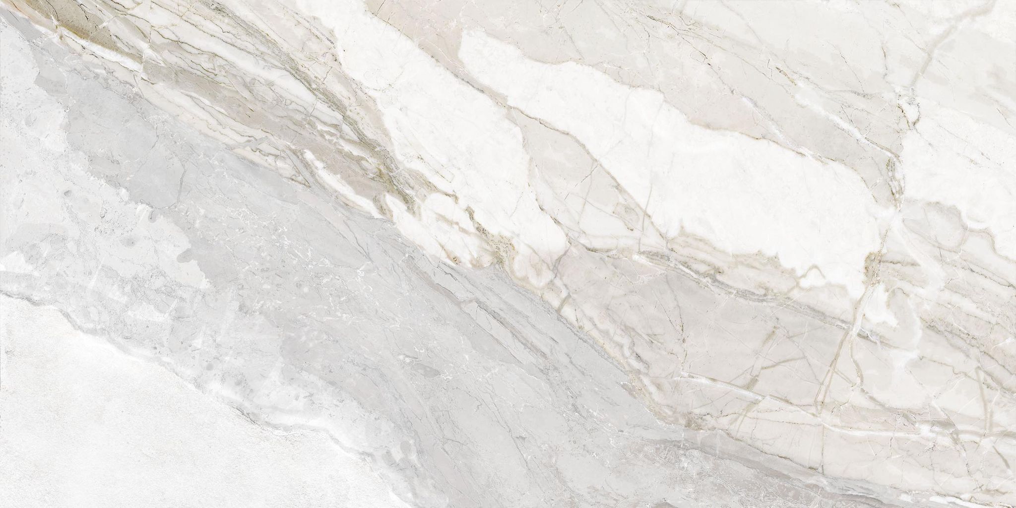 Dynasty White 12X24 | Clon Digital Tile Catalog