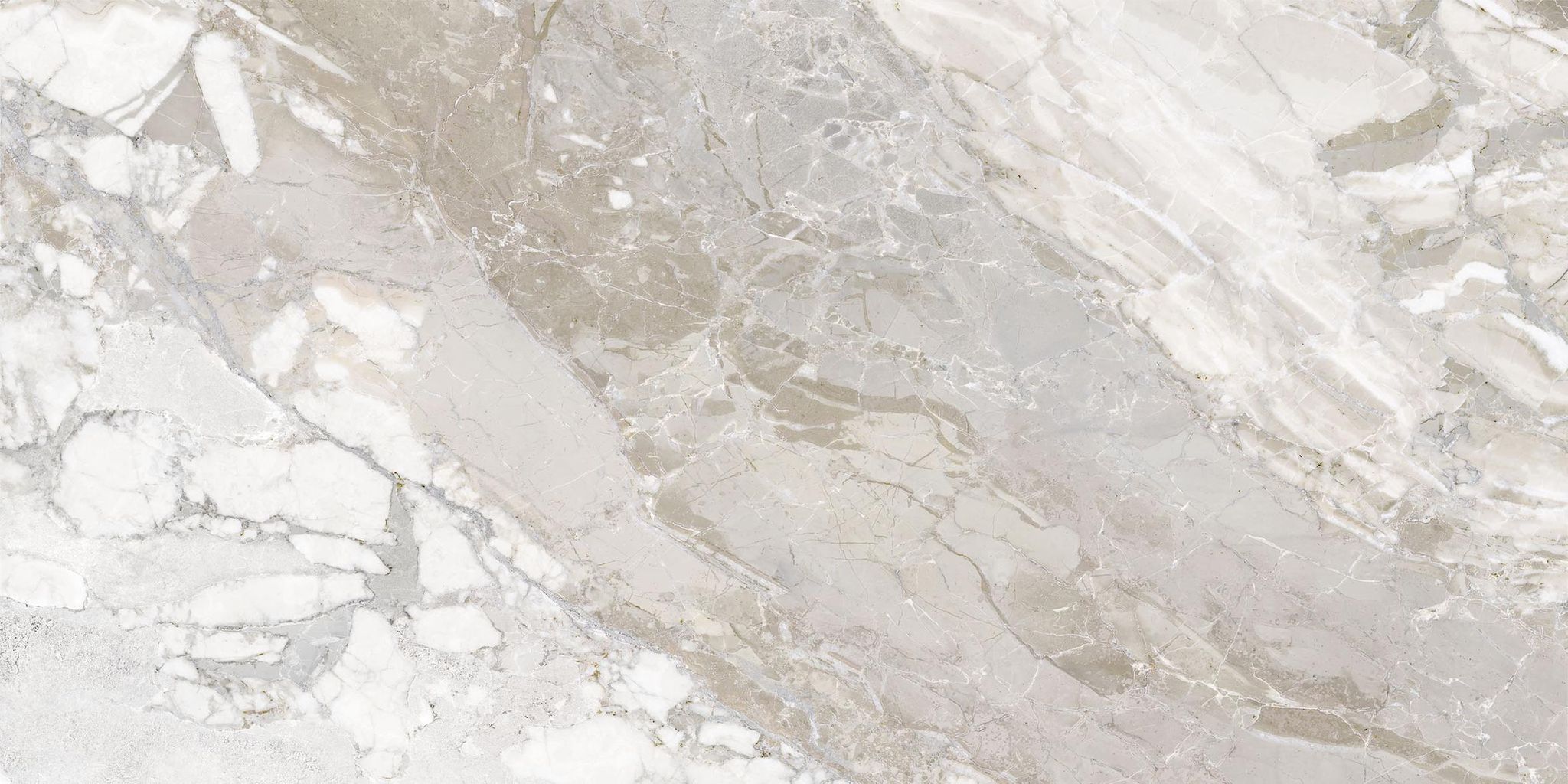Dynasty White Polished/Matte 24X48 | Clon Digital Tile Catalog