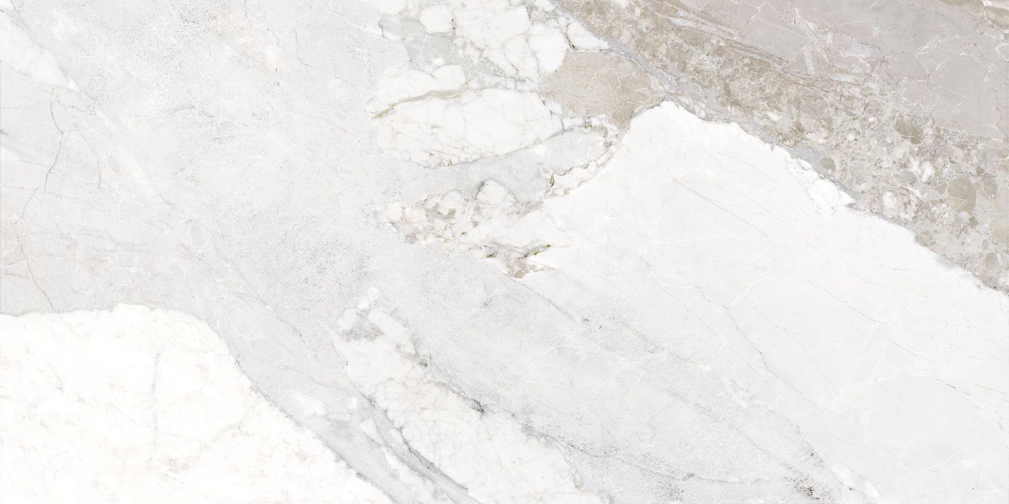 Dynasty White Polished/Matte 24X48 | Clon Digital Tile Catalog