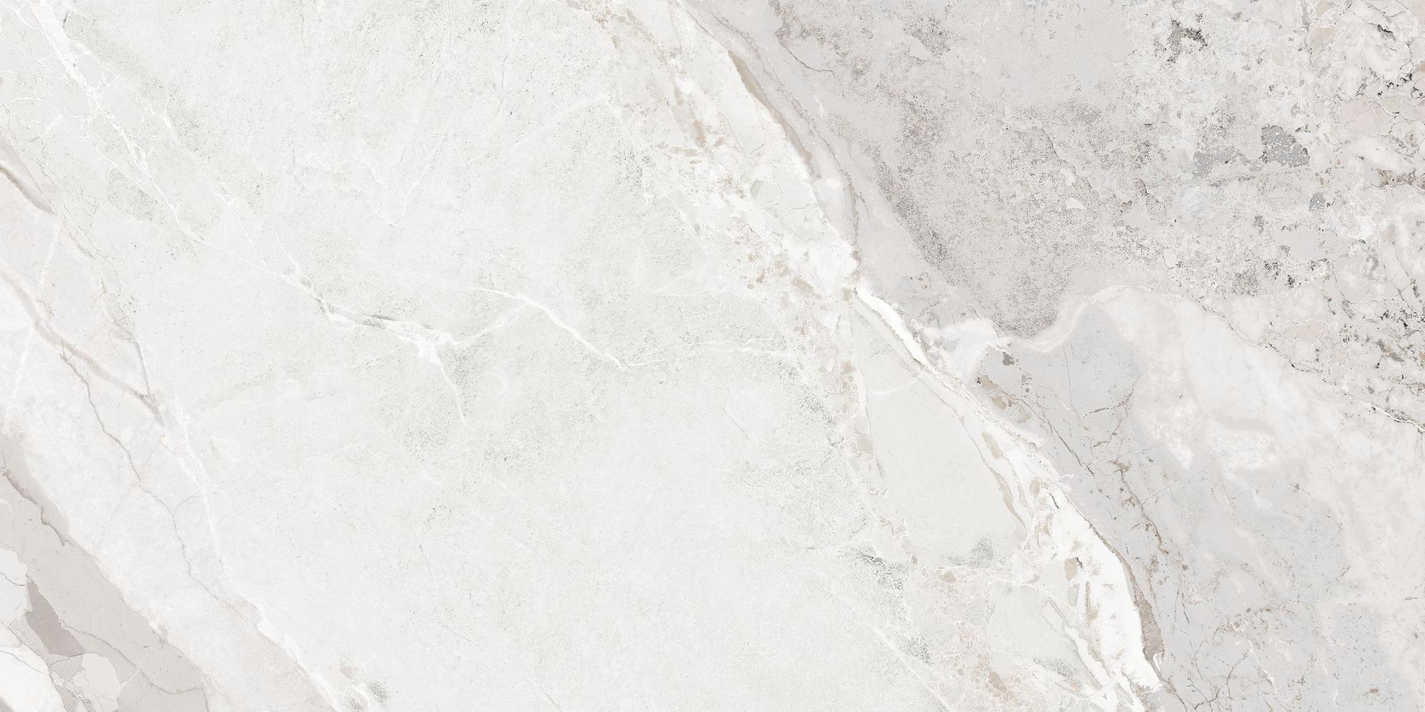 Dynasty White Polished/Matte 24X48 | Clon Digital Tile Catalog
