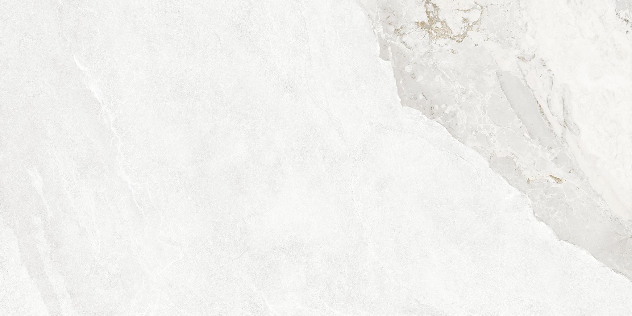 Dynasty White Polished/Matte 24X48 | Clon Digital Tile Catalog