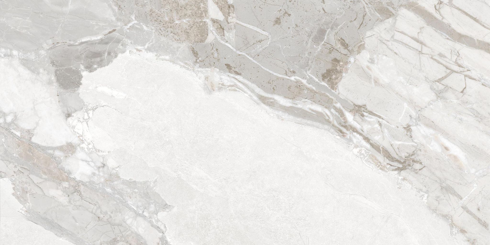 Dynasty White Polished/Matte 24X48 | Clon Digital Tile Catalog