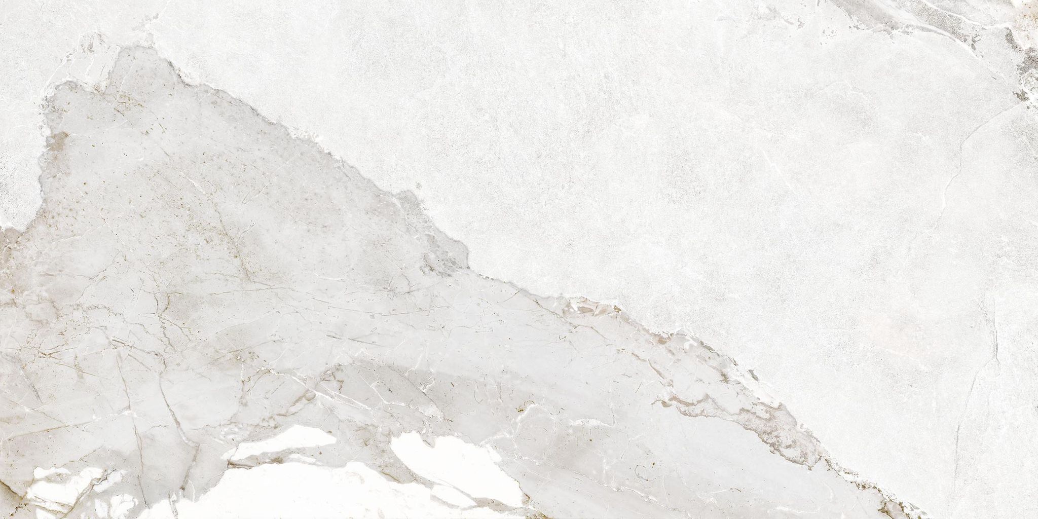 Dynasty White Polished/Matte 24X48 | Clon Digital Tile Catalog