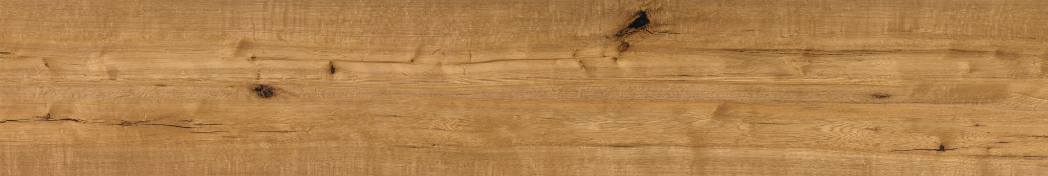 Oak Devonport | Clon Digital Tile Catalog